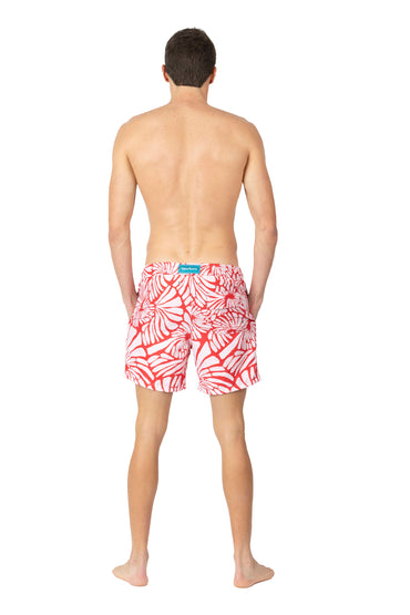 Men's Swim Trunks | Solare Shells