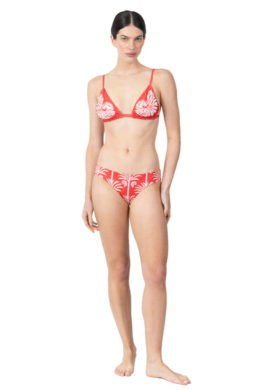 Carolina Bottom | Solare Palms