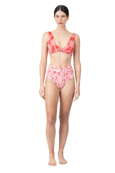 Lia Bottom | Solare Shells