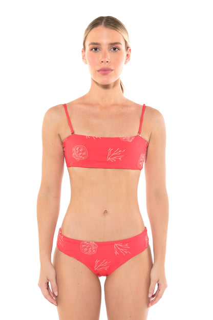 Top Roma Coral Dream (Pre-Order)