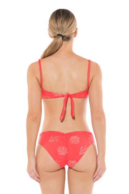 Top Roma Coral Dream (Pre-Order)